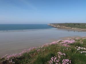 Maisons de vacances Holiday Home Ti Maen by Interhome : photos des chambres