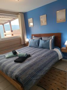 Appartements 'Le 212' Splendide Vue Mer et nature : photos des chambres