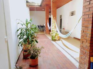 Casa del perro coliving 2