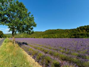 Maisons de vacances Holiday Home Le Nid by Interhome : photos des chambres