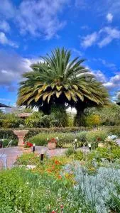 Rukka Lodge - La Merced