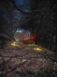 Tentes de luxe Dome sous les etoiles : photos des chambres