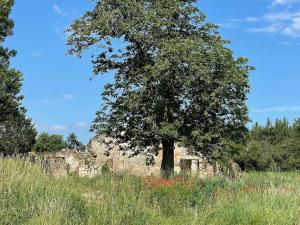 Maisons de vacances Gite Petite Rousserie sur domaine La Rousserie : photos des chambres