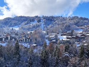 Appartements Studio Les Hauts de St Gervais-10 by Interhome : photos des chambres