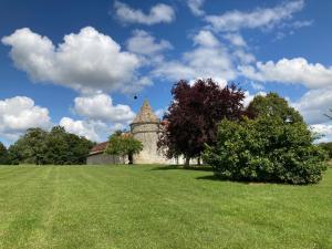 Maisons de vacances Chateau de caractere avec piscine au coeur du Perigord vert : photos des chambres