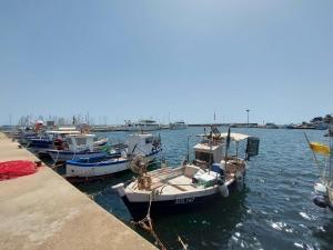 Apartment Pompia 1 by Interhome img23