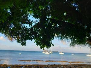 Charming Apartment in Grand Baie with Pool