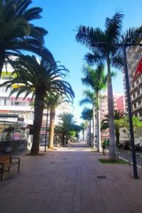 Estudio Ana
