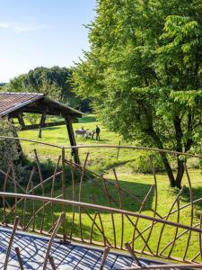 Appartements Studio avec piscine partagee et wifi a Forcalquier : photos des chambres