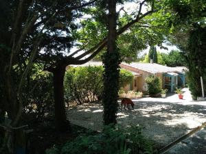 Maisons de vacances Gite en pleine nature - Parc, Piscine, Jacuzzi : photos des chambres