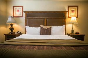 Silverado Lodge with Fireplaces and Pool Views