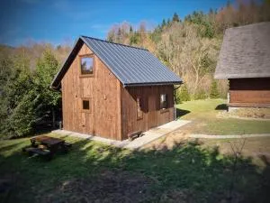 Domek w Bieszczadach Mchawa 144 - Zahoczewie