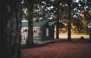Lakefront Cedar Cabin - 6
