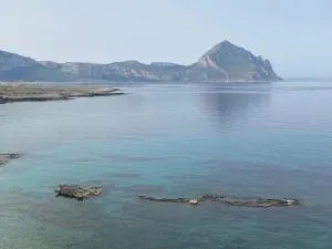 Pittalumari Makari - Macari