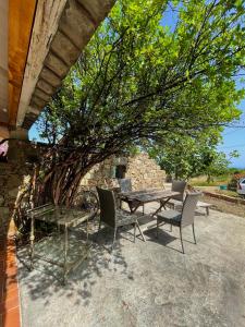 Appartements Residence VILLA MOROSI - Favone : photos des chambres