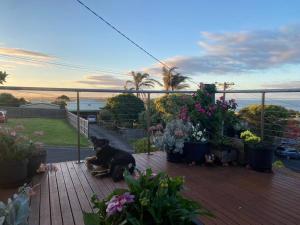 Salty Paws Dog Friendly Luxe Cottage