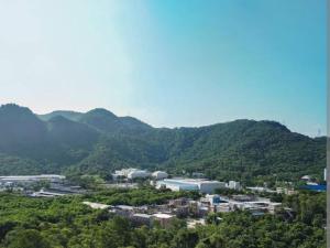 Samba convention suites