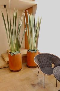 Casa Nova Centro Oaxaca - Adults Only