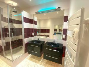 Sejours chez l'habitant FLOYDROOM'S Pau chambre hotes standing dans appartement partage proche chateau : photos des chambres