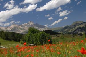 Appart'hotels Residence Odalys L'Oree des Pistes : photos des chambres