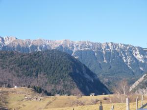 Garofita Pietrei Craiului