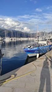 Appartements Studio climatisee dans residence a 5 minutes des plages a pied : photos des chambres