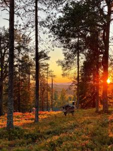 Ruka, Kelokaltiokylä, Mökki 28