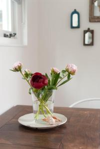 Vakantieverblijf de Trommel