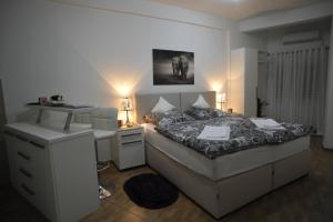 Apartment Jovana Nikšić