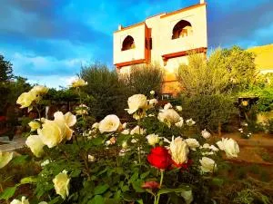 Riad Tazawa - Aït Khiyar