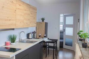 Apartment with big terrace