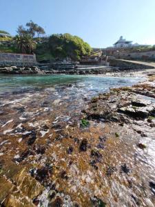 *Self-Check in - Whale Watching Paradise -Central*