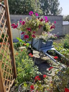 Maisons de vacances Les coquelicots en Baie de Somme : photos des chambres