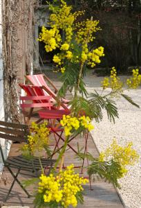 L'Annexe photo 18