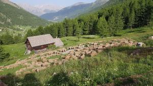 Appartements T2 classe 3 etoiles, Vallee Claree, Nevache, Val des pres, Montgenevre : photos des chambres