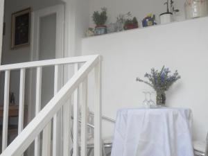 Apartments Ada Novak