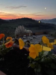 La Cantinetta Resort