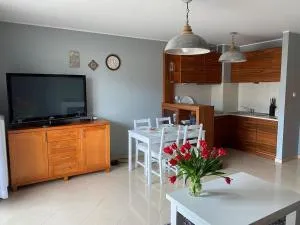 Revisit Jantar! Z tarasem - Junoszyno