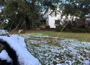 FINCA LA TEJONERA - La Corte