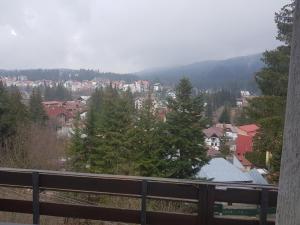 Vila Predeal Holidays