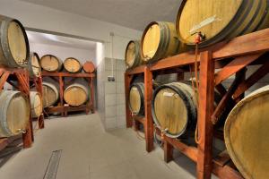 Marakas Winery Family House