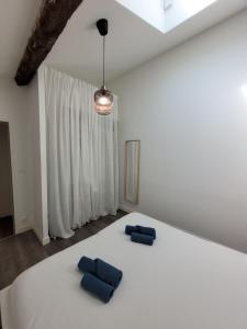 Appartements Duplex cosy & lumineux en plein centre bourg : photos des chambres