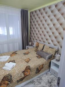 Family Rooms Hunedoara
