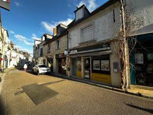 Appartements Comfortable air-conditioned T3 in the heart of Amboise with parking space : photos des chambres