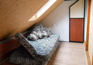 Vila House in the city center of Ukmerge