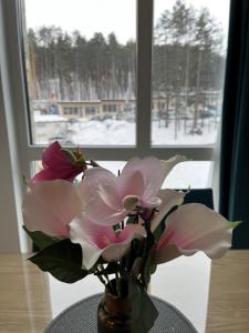 Apartman Blago Zlatibora