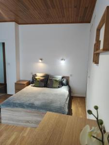 Appartements Le Cypres en centre ville Bourg-Saint-Maurice : photos des chambres