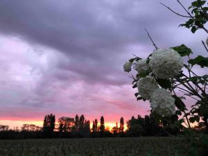 Villas Chateau Bernon : photos des chambres