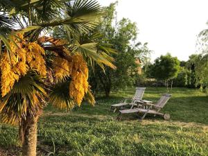 Villas Chateau Bernon : photos des chambres