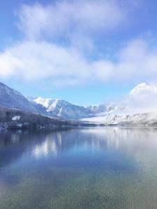 Charming and Cozy Apartment Sara 